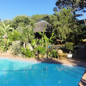 Apartment Birdsnest Guest, Hout Bay